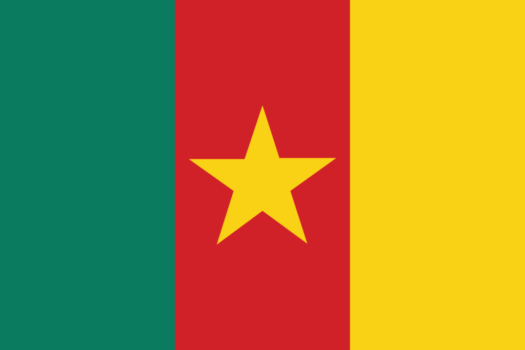 Cameroon-Phone-Number-List